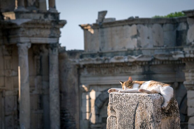 NEW: Private The Most Detailed Ephesus Shore Excursion / with Lunch - Why this private Ephesus tour is different