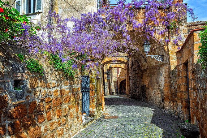 Orvieto and Civita di Bagnoregio from Civitavecchia - Private Tour - Timing, weather, and the cruise return
