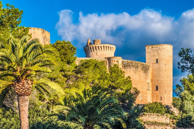 Palma de Mallorca and Valldemossa Excursion from Cruise Port - What the $71.08 price really buys you