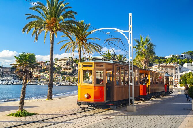 Palma de Mallorca and Valldemossa Excursion from Cruise Port - Iglesia de la Cartuja and the Chopin connection