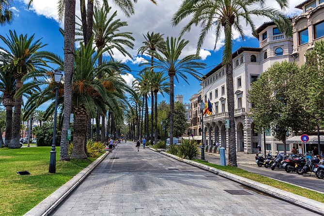 Palma de Mallorca and Valldemossa Excursion from Cruise Port - Palma Cathedral and the story beneath La Seu