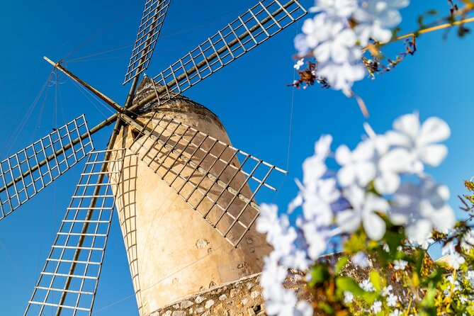 Palma de Mallorca and Valldemossa Excursion from Cruise Port - Bellver Castle and Palma’s best high view