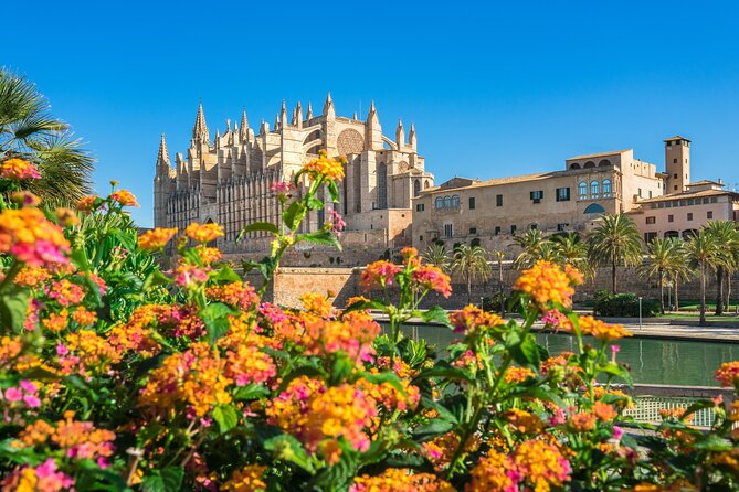 Palma de Mallorca and Valldemossa Excursion from Cruise Port - Meeting your guide at Palma cruise port