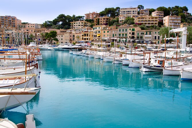 Palma de Mallorca Shore Excursion: Private Tour of Valldemossa, Soller and Serra de Tramuntana - Why this makes sense from a cruise ship