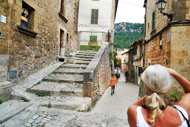 Palma de Mallorca Shore Excursion: Private Tour of Valldemossa, Soller and Serra de Tramuntana - Is $590.14 per person good value?