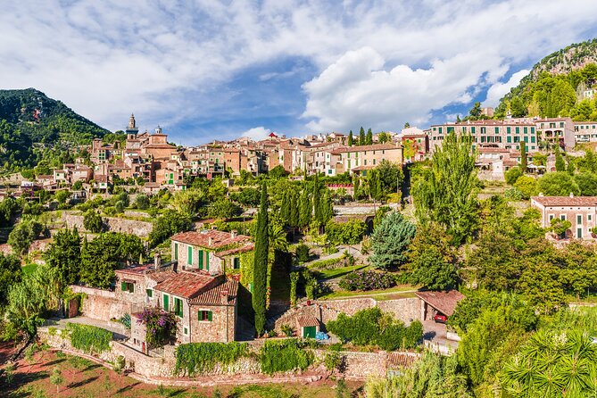 Palma de Mallorca Shore Excursion: Private Tour of Valldemossa, Soller and Serra de Tramuntana - Who should book this Mallorca shore excursion?