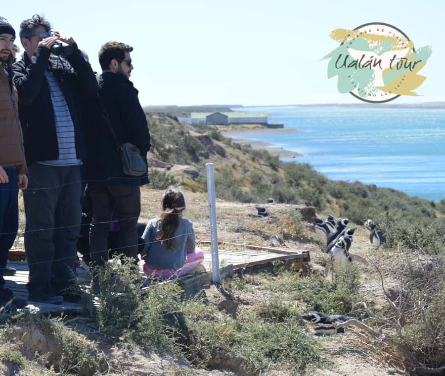 Peninsula Valdes: Shore excursion for cruise passengers - What this Peninsula Valdes trip is really like