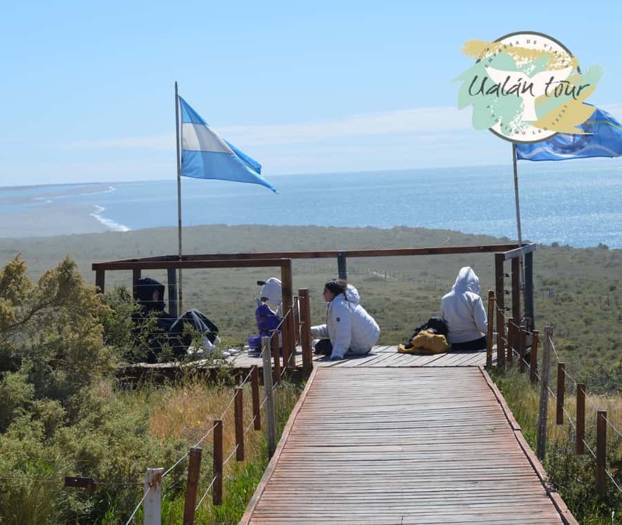 Peninsula Valdes: Shore excursion for cruise passengers - Meeting at Piedrabuena Pier
