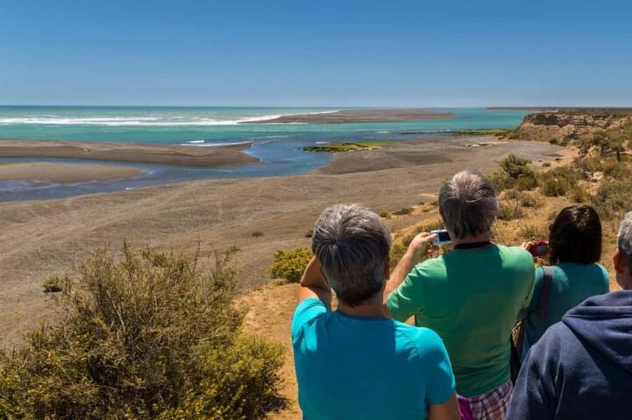 Peninsula Valdes Shore Tour for Cruise Passengers + City - Why Peninsula Valdes is worth the long ride