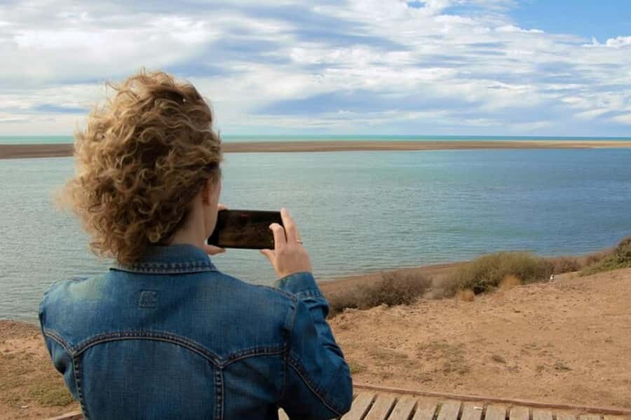 Peninsula Valdes Shore Tour for Cruise Passengers + City - What the $105 price really covers