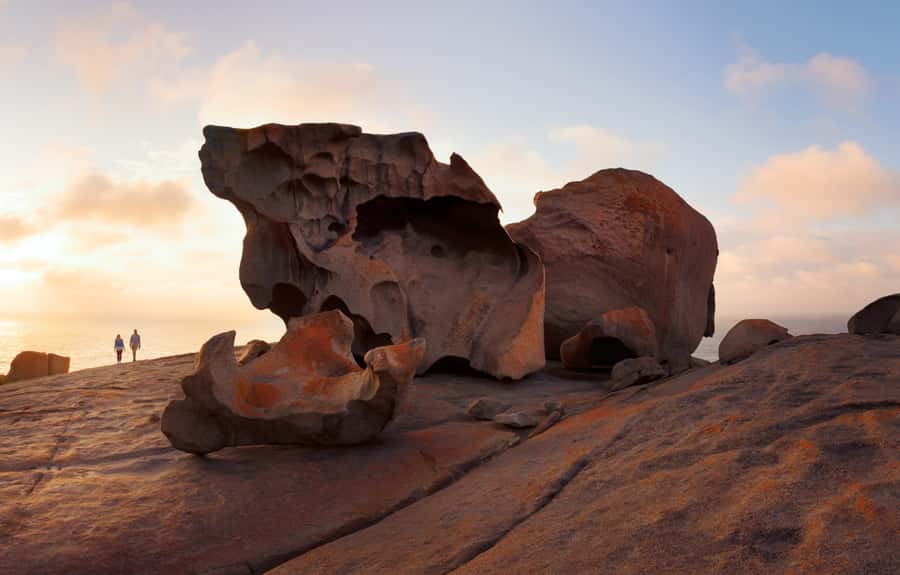 Penneshaw: Shore Excursion Kangaroo Island Scenic Tour - Key points at a glance