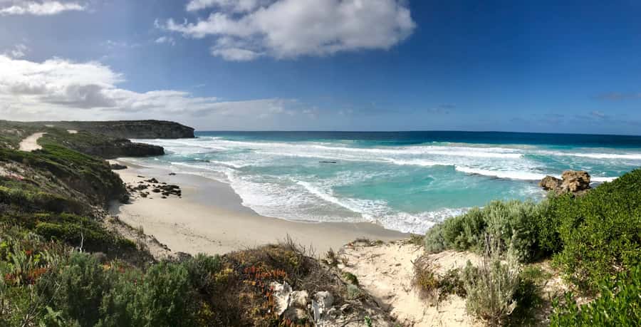 Penneshaw: Shore Excursion Kangaroo Island Scenic Tour - Why this Kangaroo Island tour works for cruise passengers