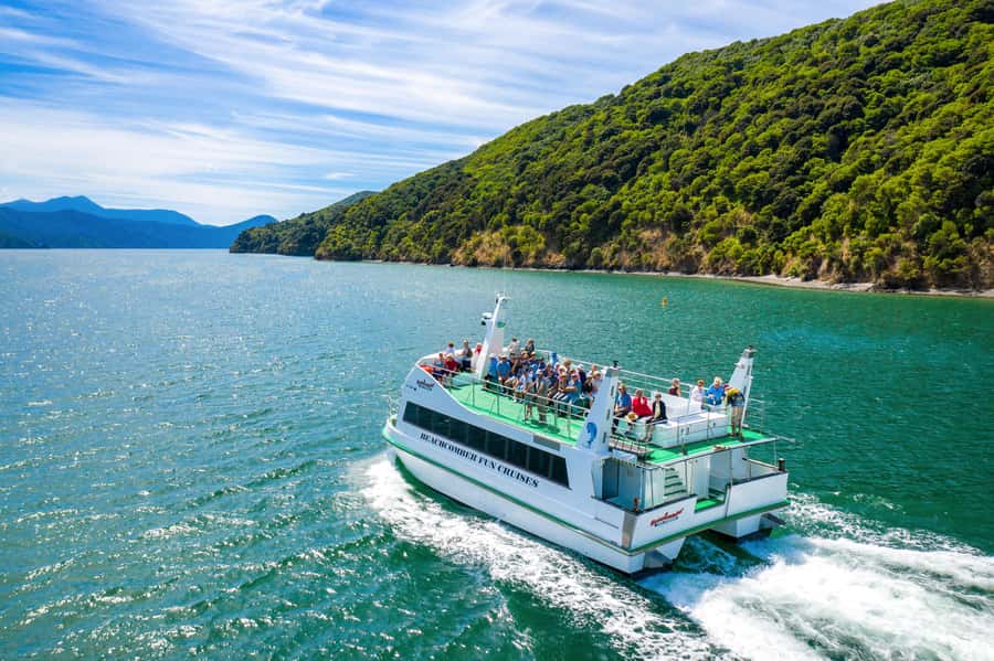 Picton Shore Excursion: Queen Charlotte Sounds Cruise - Wildlife, fish feeding, and the luck factor