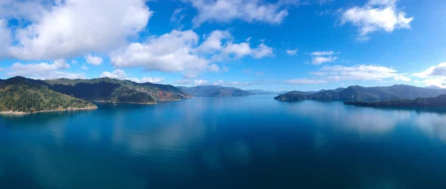 Picton Shore Excursion: Queen Charlotte Sounds Cruise - The skipper’s commentary and the onboard mood
