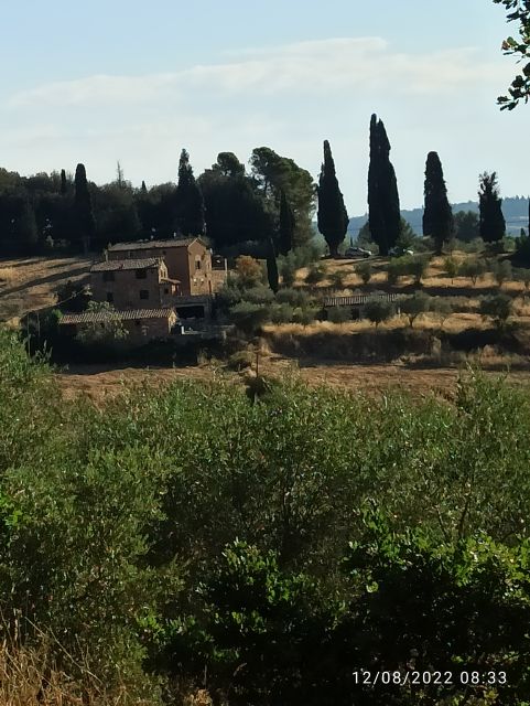 Pisa and Florence Private Shore Excursions from Livorno - Key points at a glance
