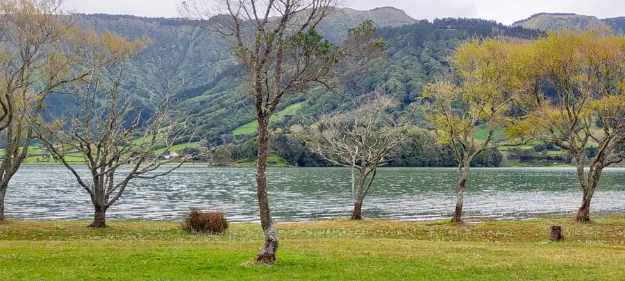 Ponta Delgada: Sete Cidades Volcano Lakes Shore Excursion - Who should book this Sete Cidades excursion?