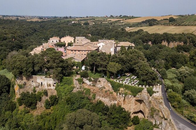 Post Cruise Tour Country Side from Civitavecchia Port of Rome to Rome or Airport - Odescalchi Castle: one hour with a famous backdrop
