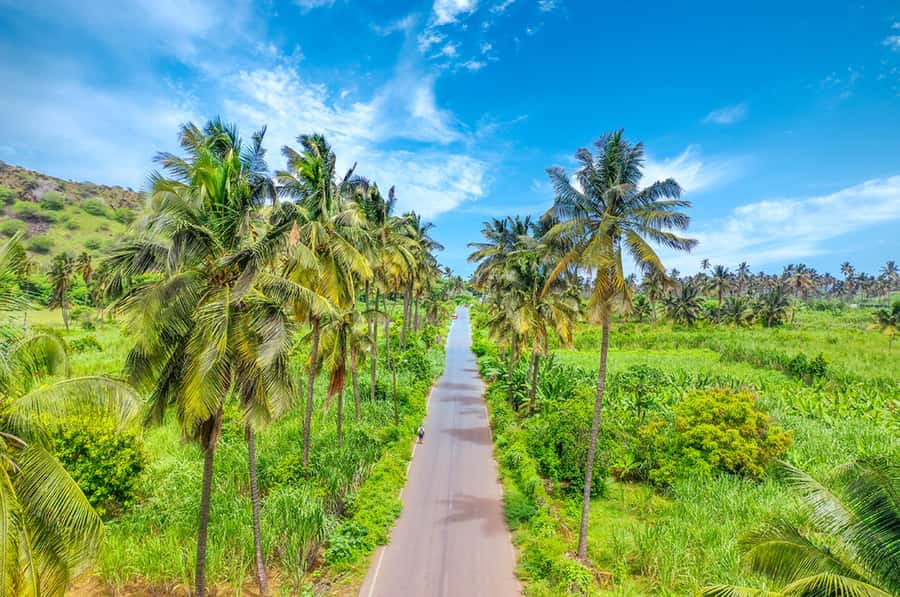 Praia: Day trip by minibus for cruise passengers - Why this tour works for cruise passengers