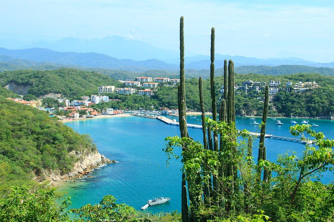 Premium Shore Excursion & Local Culture Tour - The guides can make or break the short schedule