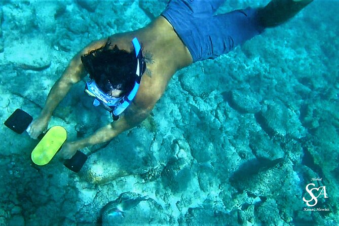 Princeville - Snorkeling Shore Excursion - Starting at 8 a.m. near Anahola