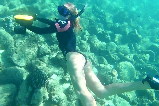 Princeville - Snorkeling Shore Excursion - What the $123 price includes