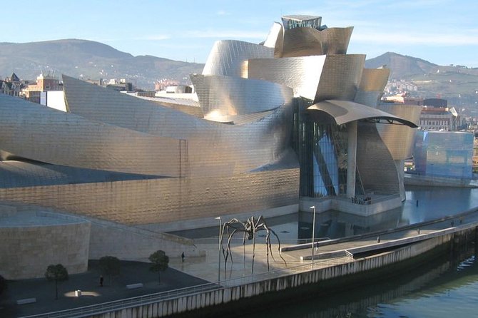 Private 4-hour City Tour of Bilbao with Hotel or Cruise Port pick-up - The Guggenheim Museum from the outside