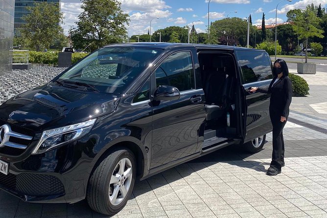 Private 4-hour City Tour of Bilbao with Hotel or Cruise Port pick-up - What the private vehicle adds