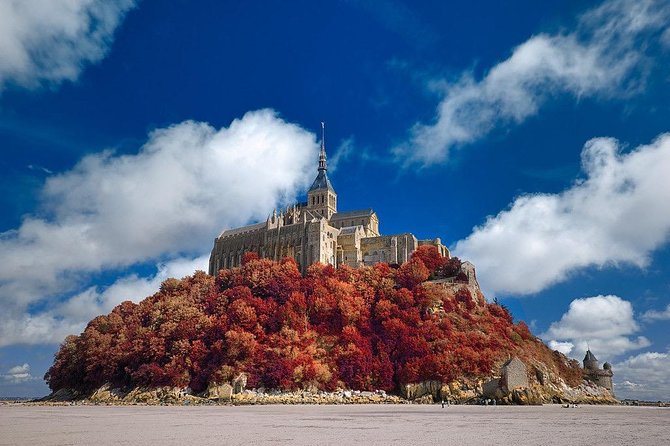 Private 9-hour tour to Mont St. Michel from Le Havre cruise port - Key points to know before booking