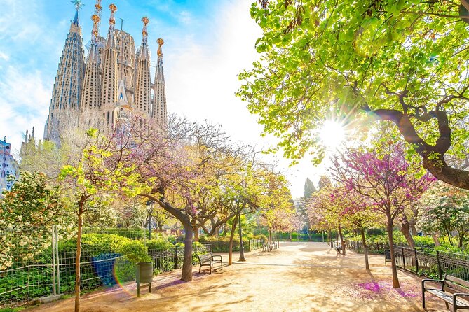 Private Airport Pickup & Scenic Tour of Barcelona - Who gets the best value at $102.80