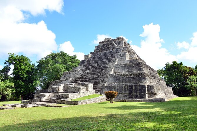 Private Chacchoben Mayan Ruins Shore Excursion from Costa Maya - Guides who shape the experience