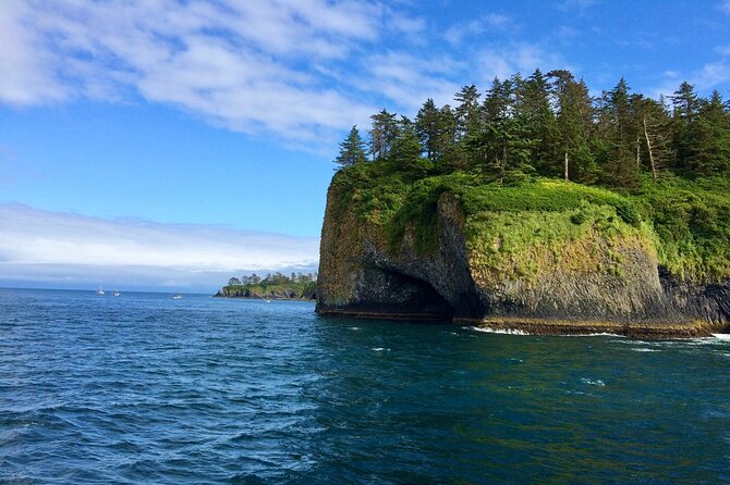 Private Charter Scenic Wildlife Excursion for Cruise Passengers - Searching Sitka Sound for whales and sea life