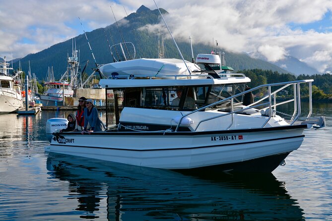 Private Charter Scenic Wildlife Excursion for Cruise Passengers - Saint Lazaria Island and its huge seabird colony