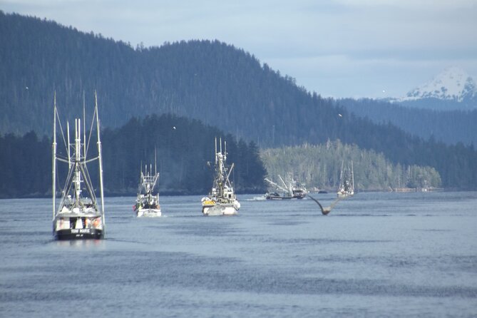 Private Charter Scenic Wildlife Excursion for Cruise Passengers - Scenic views that reward the people who look up