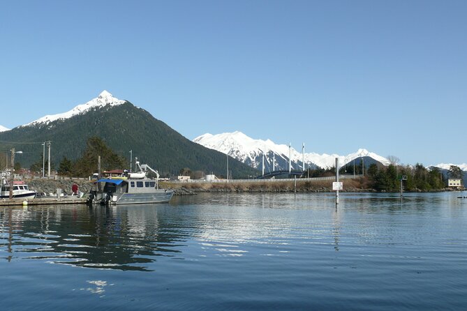 Private Charter Scenic Wildlife Excursion for Cruise Passengers - Is $1,100 good value for three hours?