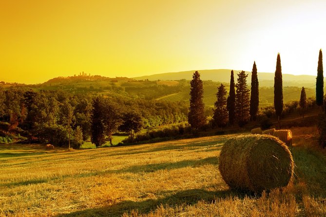Private Chianti and SuperTuscan Tour 2 wineries with Light Lunch from Livorno - Second winery: lunch, farm produce, and a caution