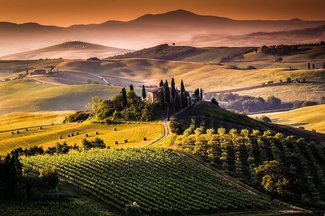 Private Chianti and SuperTuscan Tour 2 wineries with Light Lunch from Livorno - What the wine and food pairing adds