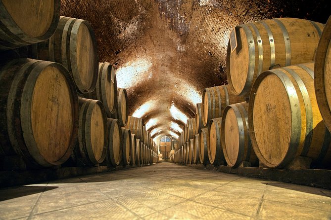Private Chianti and SuperTuscan Tour 2 wineries with Light Lunch from Livorno - Is seven hours enough from a cruise ship?