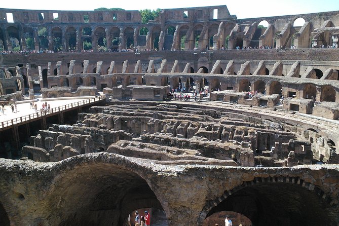 Private daytour of Rome from Civitavecchia port van Mercedes V - Price, pace, and the real value