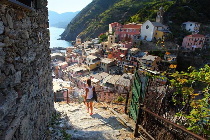 Private EASY Cinque Terre & Pisa Accessible Tour from Livorno - Price, value, and who should book