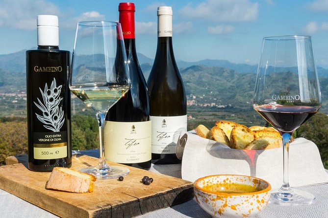 Private Etna tour from Messina Cruise Terminal+ Lunch at Winery - Why this private Etna trip works from Messina