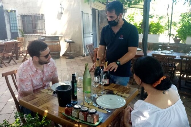 Private Etna tour from Messina Cruise Terminal+ Lunch at Winery - Reaching Etna at 2,000 meters
