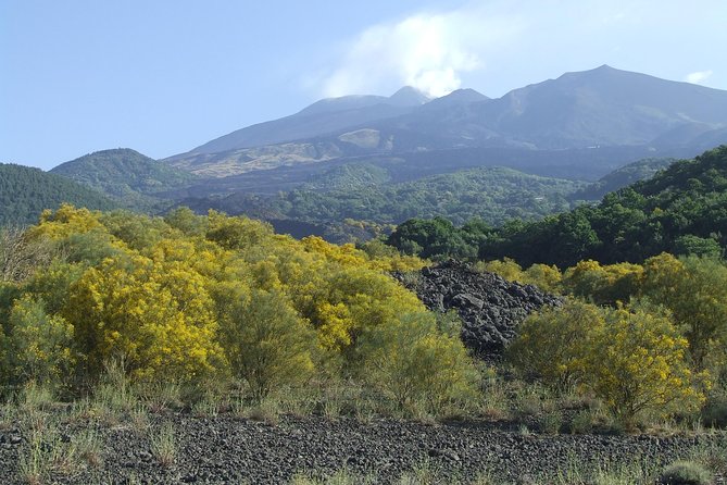 Private Etna tour from Messina Cruise Terminal+ Lunch at Winery - The winery lunch is more than a final tasting