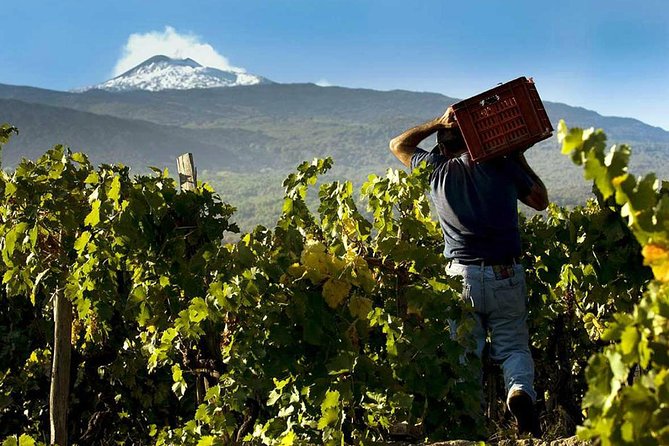 Private Etna tour from Messina Cruise Terminal+ Lunch at Winery - Is $316.26 per person a fair price?
