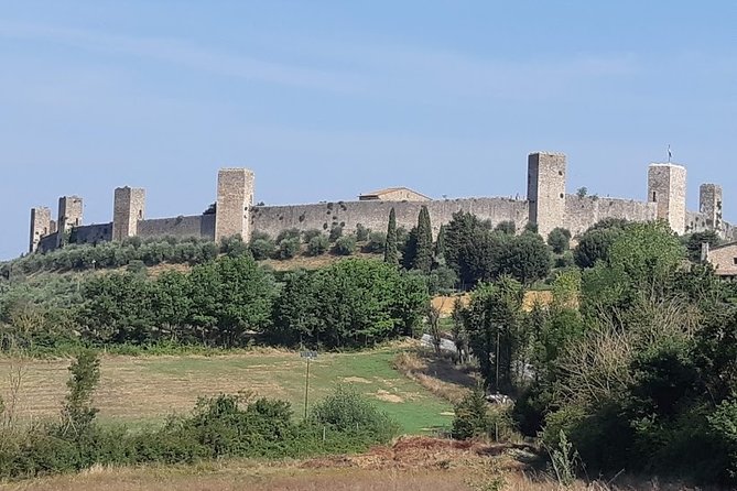 PRIVATE EXCURSION: Volterra & San Gimignano + wine tastings (from Livorno Port) - What $324.43 per person buys you