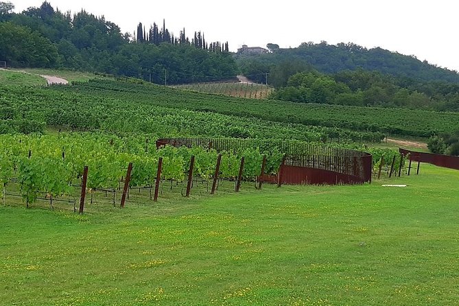 PRIVATE EXCURSION: Volterra & San Gimignano + wine tastings (from Livorno Port) - Who will enjoy this day most