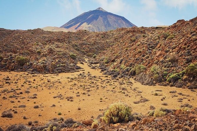 Private Excursions For Cruise Ship Passengers - Why this private Tenerife tour works for cruise passengers