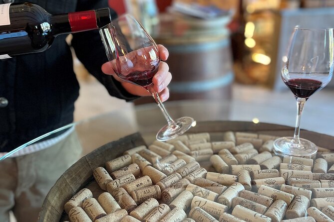 Private Full Day Wine Tour in Provence From Marseille cruise port - Leaving Marseille for Provence Wine Country