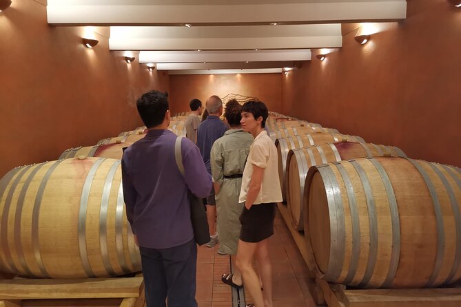 Private Full Day Wine Tour in Provence From Marseille cruise port - Guides Who Add More Than Directions