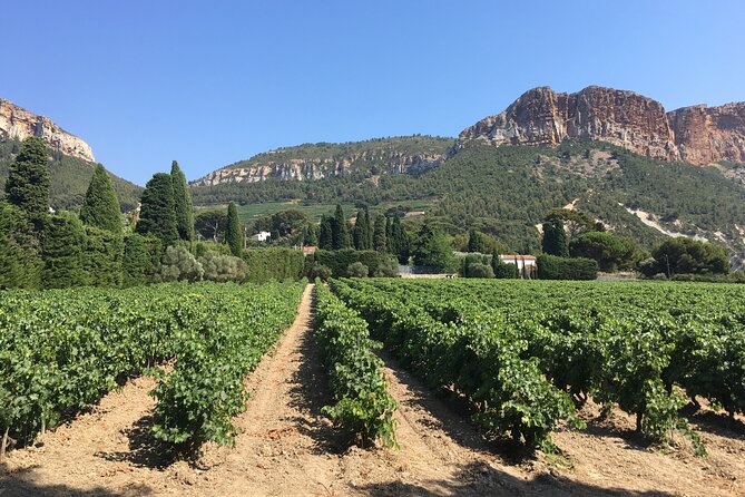 Private Full Day Wine Tour in Provence From Marseille cruise port - Practical Tips for a Better Day