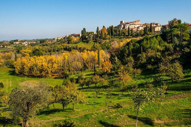 Private Guided Tour to Pisa and local Wine Farm from Livorno port - Why the private format changes the day